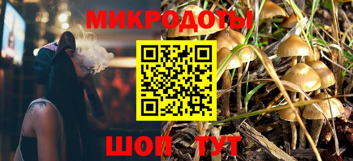 Галлюциногенные грибы Magic Shrooms  купить наркотики цена  Заводоуковск  Вход с VPN  Галлюциногенные грибы Magic Shrooms 